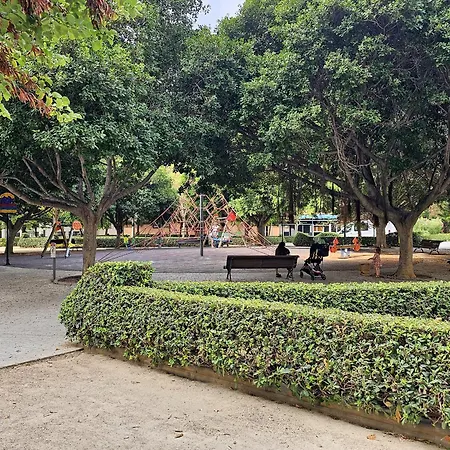 Ciencias J 瓦伦西亚